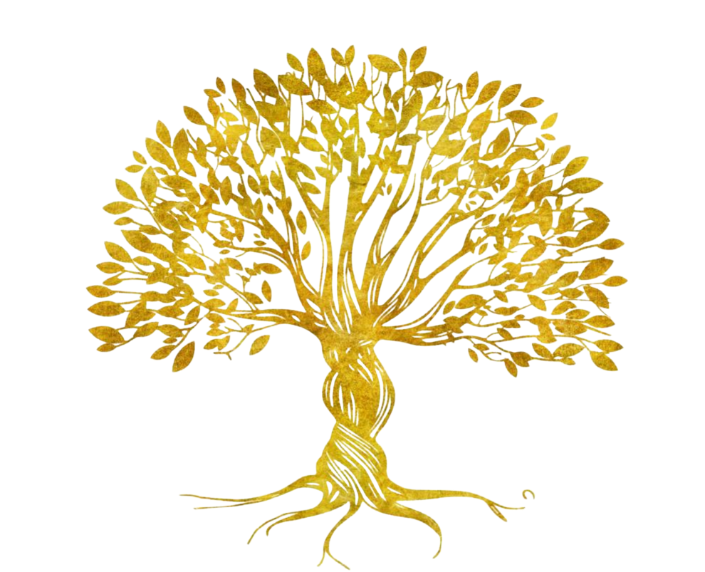 Brooklyn Interiors Inc